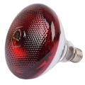 250w Infrared Heat Bulb Light Chicks Pets Therapy Light Incandescent Lamp White finish glass heat infrared lamp halogen bulb ir lamp Room Heater Light.