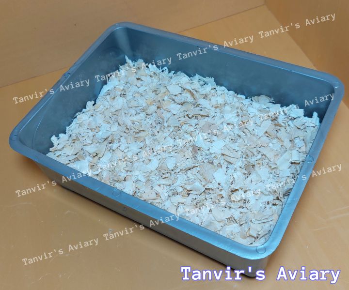 Imported%20Wood%20Shaving%20For%20Bird%20Breeding%20-%20Image%204
