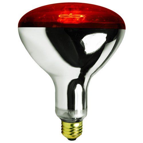 Infrared%20Heat%20Lamp%20Bulb,%20Red%20-%20Image%202