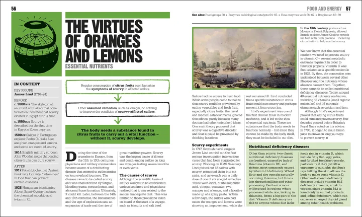 The%20Biology%20Book:%20Big%20Ideas%20Simply%20Explained%20Hardcover%20-%20Image%203