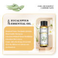 【Customizable】 EUQEE 10ML Natural Essential Oils Eucalyptus Spearmint Vanilla Lavender Lemon Oregano Oil For Humidifier DIY Soap,Candle Making. 