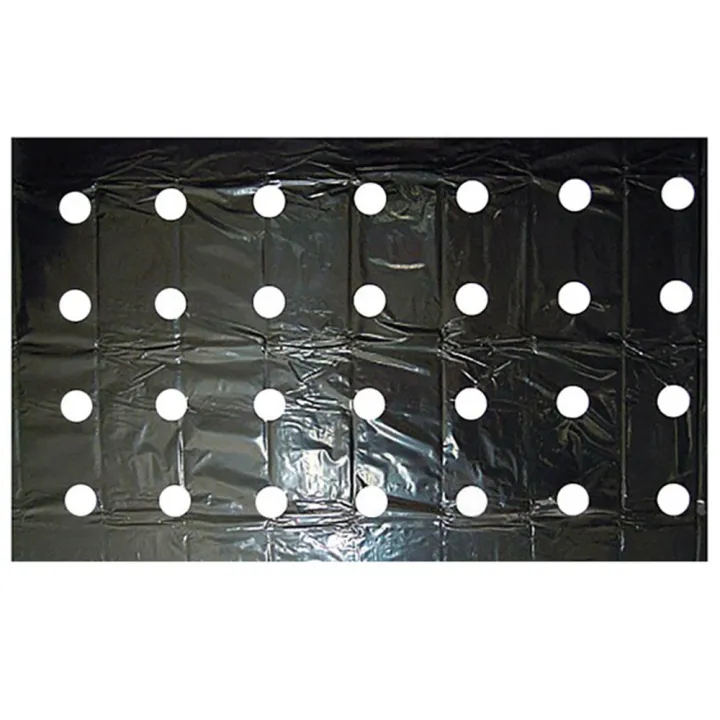 Plastic%200.95*10m%20Greenhouse%20Grow%20Vegetable%20Keep%20Warm%20Mulch%20Film%20Perforated%20Film%20Agriculture%20Supplies%20Garden%20Supplies%20-%20Image%208