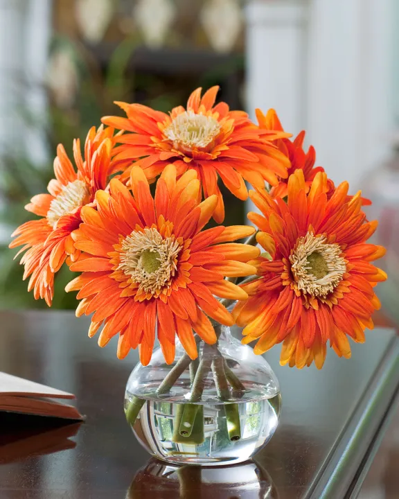 Zarbera%20flower%20seed%205%20pice%20+%20gift%20-%20Image%204