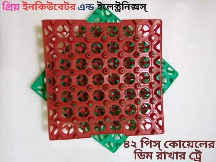 42 pcs Quail eggs Tray