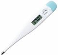 Digital Thermometer. 