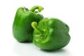 Versatile - Hybrid Green Capsicum Seeds 22 Pices + gift- Tremendously Adaptable and flexible - Indicating Upscale lifestyle.