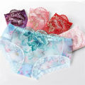 Women Rose Embroidery See-through Transparent Panties. 