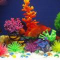 【Xiaofeng】Artificial Coral Aquarium Fish Decor Underwater Ornaments. 
