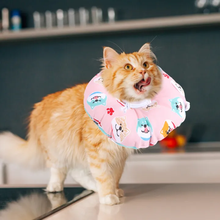 Qifull%20Recovery%20Collar%20Surgery%20Recovery%20Elizabethan%20Collars%20Cat%20Neck%20Pillow%20Cones%20Wound%20Cone%20Supplies%20for%20Puppy%20Kitten%20-%20Image%206