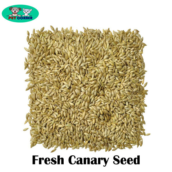 Natural%20Fresh%20Canary%20Seed%20for%20Bird%20250gm%20-%20Image%202
