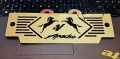 Radiator guard or jali for motorcycle Apache 4V - Golden.