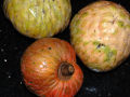 Custard Apple Organic Fruit Seeds For Gardening or Planting -10Seeds (আতা গাছের বীজ). 