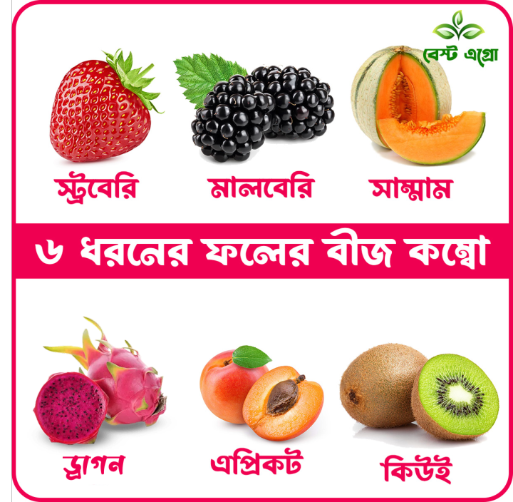 Superb Quality - 6 type of fruit seeds combo pack. 30+ seeds total + gift item