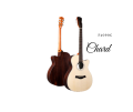 Chard F4090C Acoustic Guitar. 