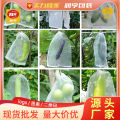 10 PCS Fruit Garden Nylon Protection Bag Insect-proof protection Bag Insect Mesh Net for Anti Insect.