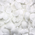 Rose decoration-4000 x rose petals-white.
