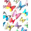 Butter Fly Wall Sticker Plastic Made - 9 Pis Multicolor. 