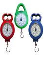 Hand held spring scale, hand holding mini weighing scale, portable electronic home express mechanical scale, luggage carrying ring, carry.