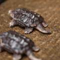 Snapping Turtle Figurine Tea Pet Sculpture Snapping Turtle Statue for Table. 