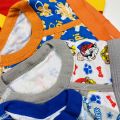 Pack of 5 Pcs Assorted Multicolor Super Soft Ribbed Brief Style Boys Underwear From Levin.