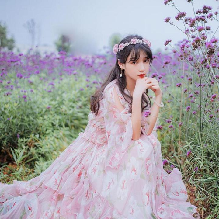 Yunnan Erhai Tourism Photo Shoot Super Fairy Dress Pink Chiffon Printed  Dress Ethnic Style Large Swing Dress | Daraz.com.bd