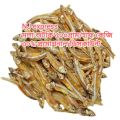Mola shutki 250 grm primioum Dry fish মলা শুটকি ২৫০ গ্রাম. 