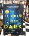 A Flicker in the Dark Book by Stacy Willingham. 
