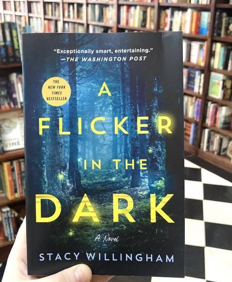 A Flicker in the Dark Book by Stacy Willingham