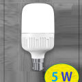 Warm color 10 Piece LED Light Wholesale Price , LED Light Bulb 5W. 