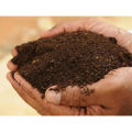Ready to Use Organic Fertilizer for Plants 750 gm / Organic Fertilizer / Joybo sar.