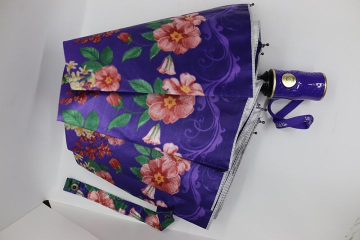 Auto%20World%20Class%20Open%20Umbrella%20(10%20Sikh)%20-%5BMulticolor%20Umbrella%5D%20-%20Umbrella%20-%20Image%204