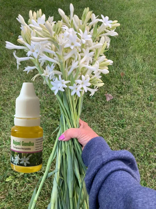 Essential%20oils%20for%20humidifier,%20Super%20best%20Effective%20Air%20Fragrance%20for%20Aroma%20Mist%20Diffuser%20humidifier%20-%20Image%205