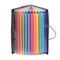 2X Expanding File Folder A4 Letter Size Portable Document Holder with 12 Pockets Black Filing Folders Desk Storage.