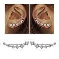 2 Pcs Zircon Stud Earring for Women Ladies Earring. 