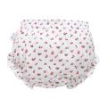 3 Piece/Lot Baby 100% Cotton Panties Girl Soft Briefs Female For Newborn Children Underwear Infant Kids Cartoon Bow Underpants.
