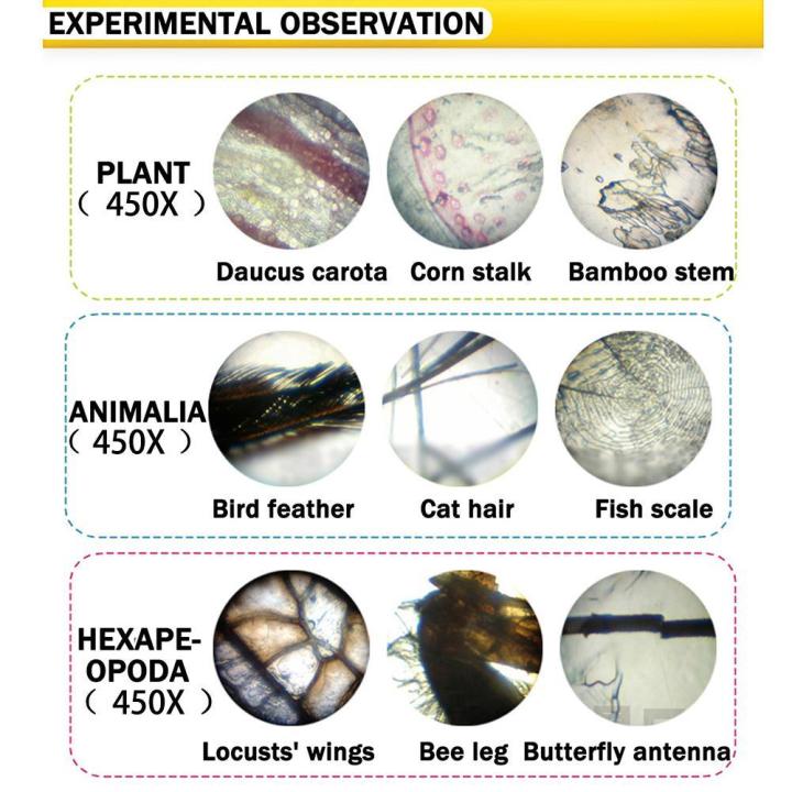 Microscope%20Kit%20Lab%20100X%20200X%20450X%20Home%20School%20Science%20Educational%20Toy%20Gift%20Refined%20Biological%20Micros%20-%20Image%209