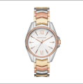 Michael Kors -Mk6686 Rose And Silver Stainless Steel Watch For Women. 