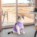 Cat Recovery Suit Outfits Prevent Licking Pets Clothes for After Spay Kitten S. 
