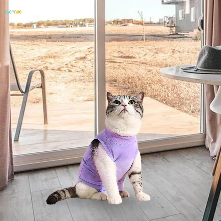Cat%20Recovery%20Suit%20Outfits%20Prevent%20Licking%20Pets%20Clothes%20for%20After%20Spay%20Kitten%20S%20-%20Image%206