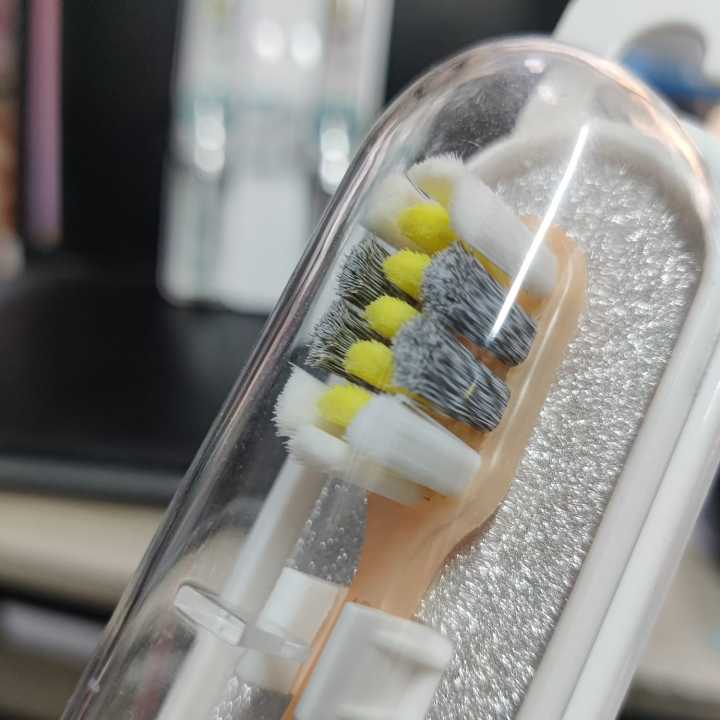 Dmate%20Babo%20Panda%20Soul%20Professional%20oral%20care%20Toothbrush%20Sweet%20Design%20Large%20Brush%20-1pcs%20-%20Image%203