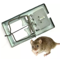 Rat Trap Reusable Stainless Stell--2 Pis.