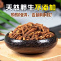 Mingqi Dandelion Root Tea 200G/Can Large Root Dandelion Tea Non-Dandelion Leaf Tea Can Match Chicory Root. 