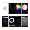 DC5V 12V 24V LED Strip Bluetooth WIFI RGB RGBW Android IOS APP Controller. 