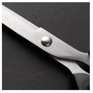 Stainless%20Steel%20Scissors%20%E2%80%935/%206/7/8/%20Inchi%20Multipurpose%20Cutter-Kachi%20-%20Image%204
