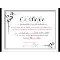 Papertree white ambush certificate paper 160 gsm A4,10 sheets. 