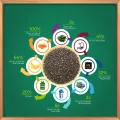 Premium Organic Chia Seeds - 500gm  High in Omega-3, Fiber & Antioxidants, Ideal for Weight Management. 