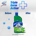 Lizol Disinfectant Floor & Surface Cleaner 1L Neem, Kills 99.9% Germs. 