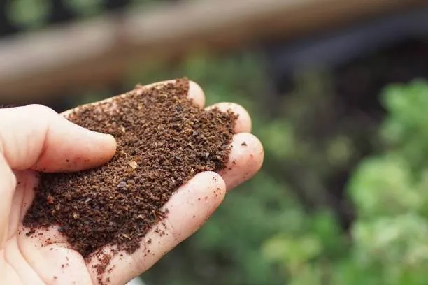 Vermicompost%20/Kecho%20Sar%20Organic%20Compost%20fertilizer%20for%20Plants%20Plant%20food%20%20pack%20-%20Image%205