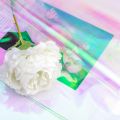 40 Pcs 59 cm x 57 cm Cellophane Wrap Paper Iridescent Film Gift Wrap. 