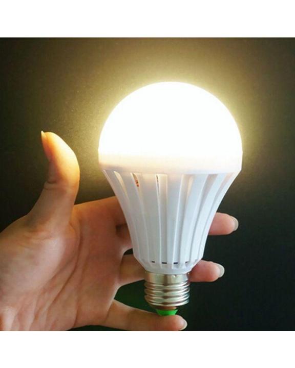 Led intelligent emergency bulb (12 watt)